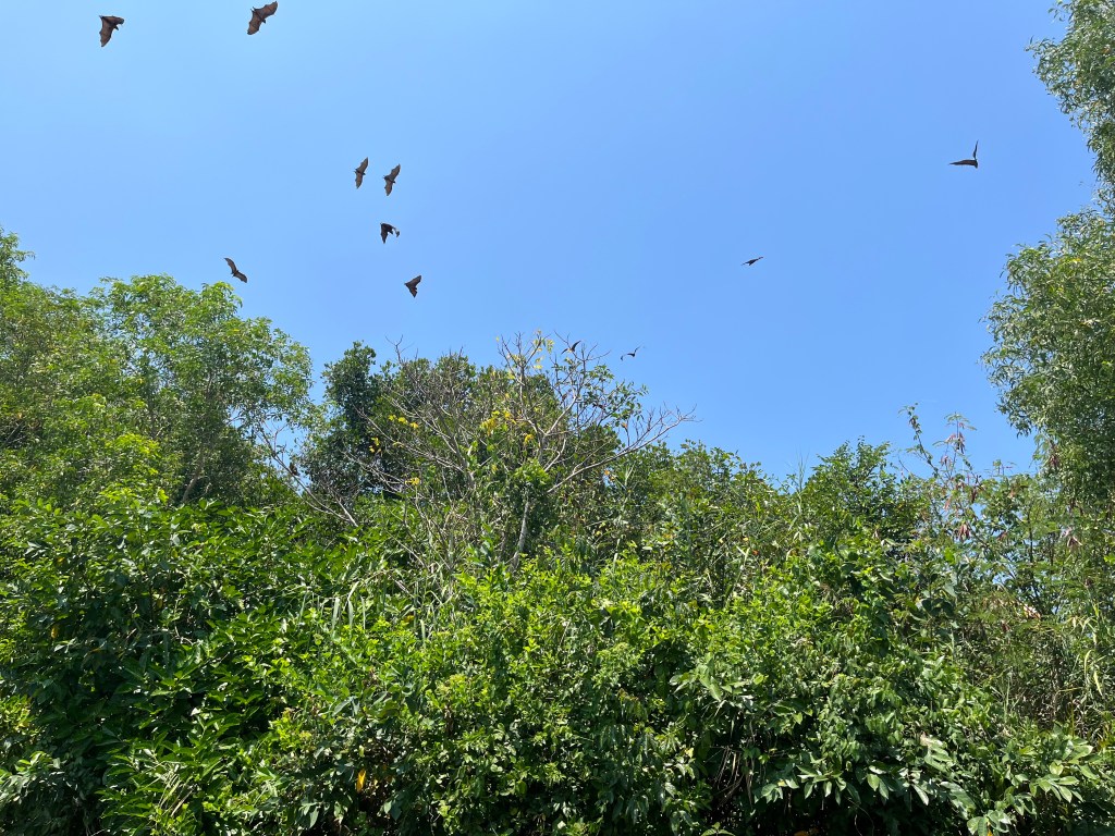 Premier spectacle et premières rencontres&nbsp;animalières