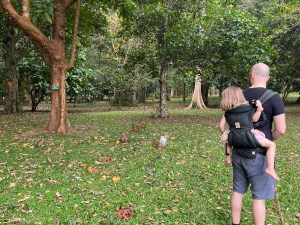 John and Tilly observing monkeys