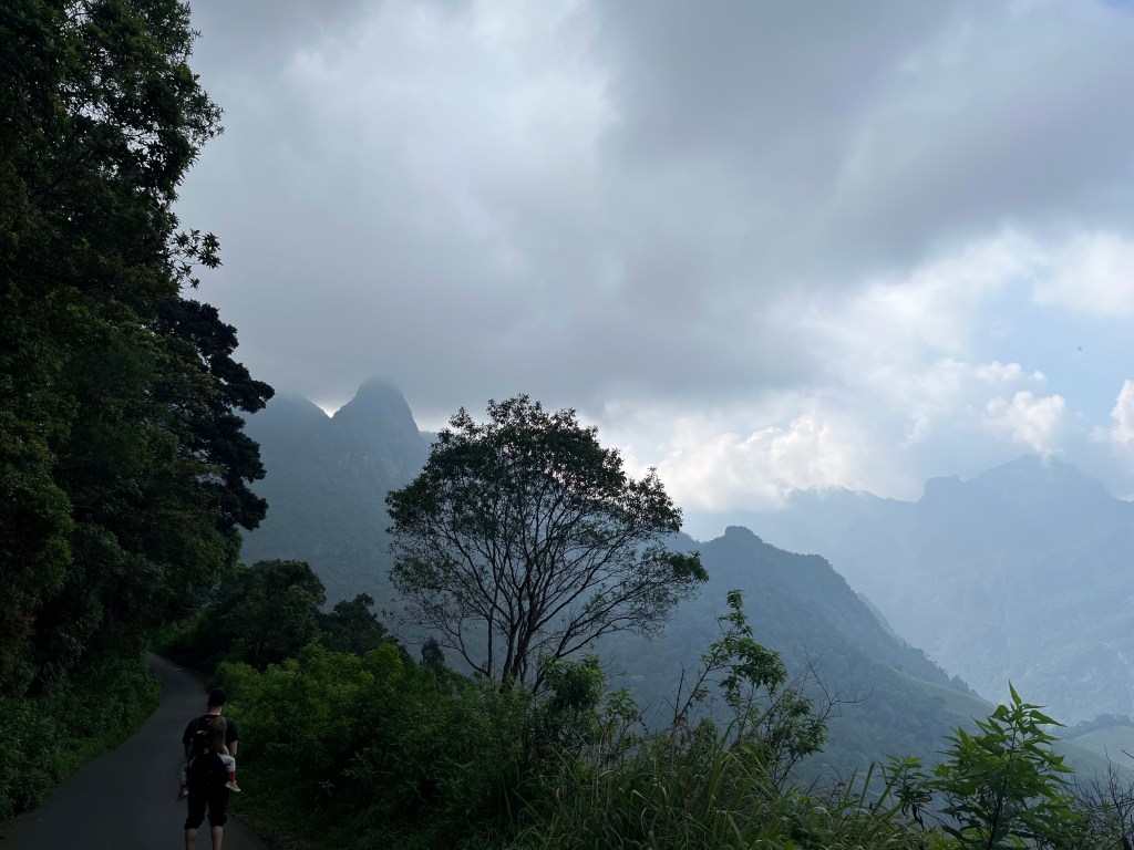 Le massif des Knuckles: magnifique mais bien&nbsp;défendu