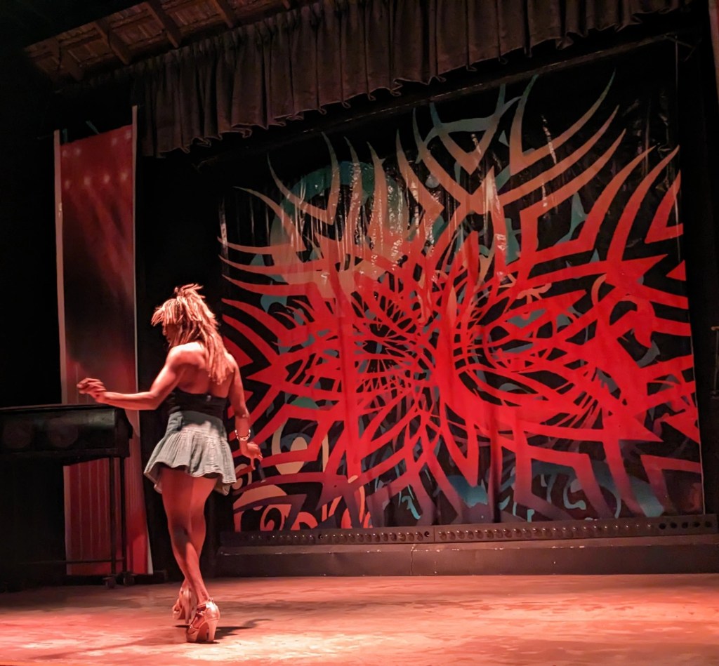 Tina Turner drag performance